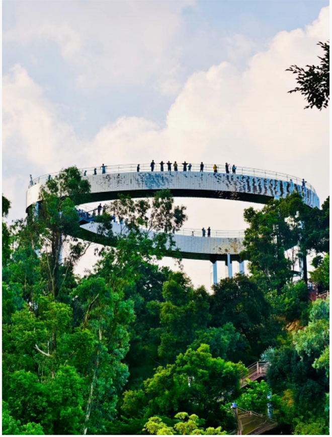 Cultural public project elevated observation walkway above a forest landscape